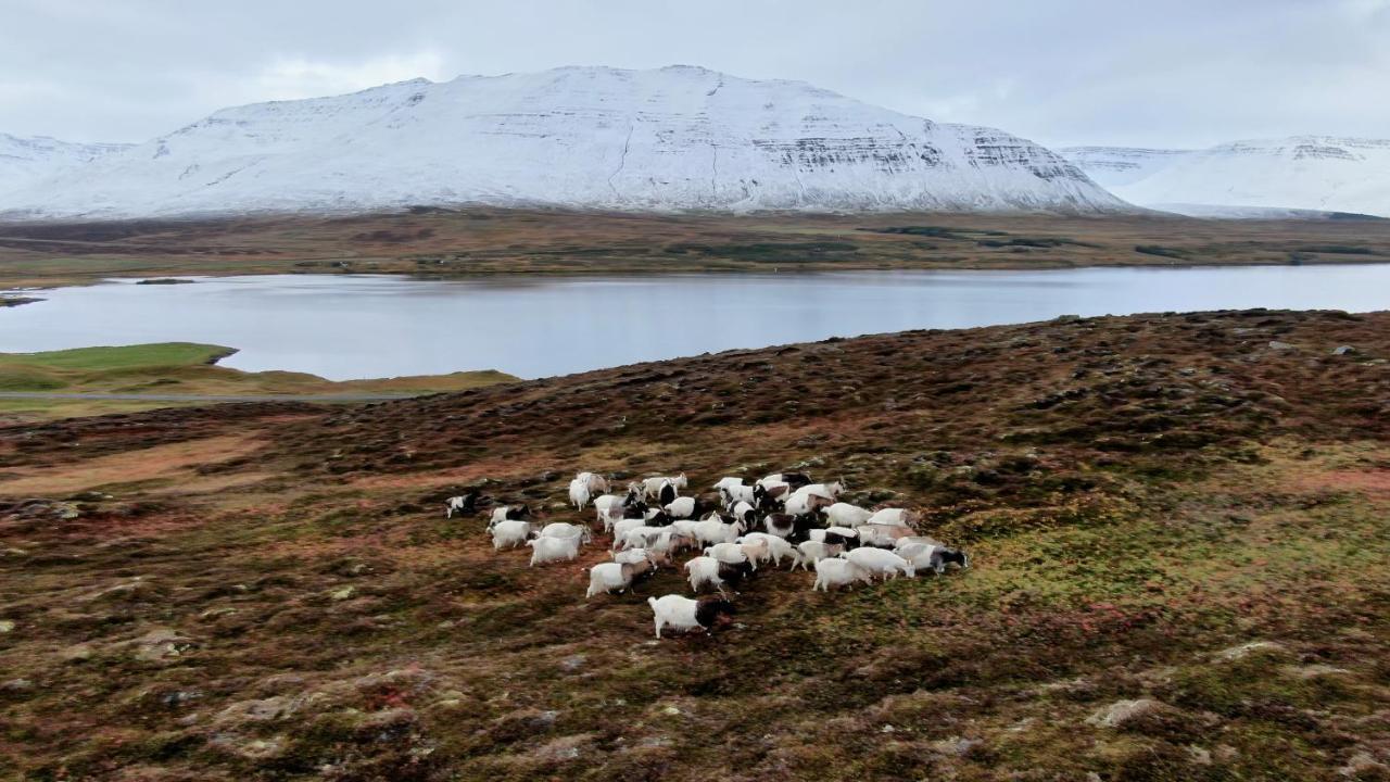 Brunastathir Holiday Home Barð 외부 사진